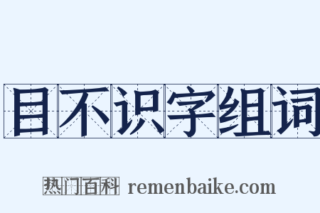 目不识字组词是什么意思的图片